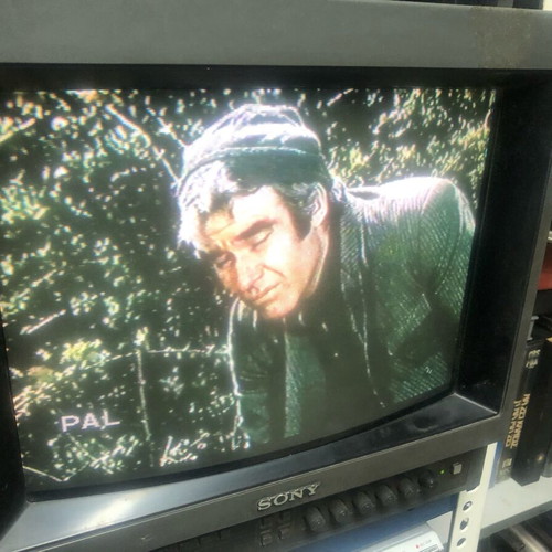 The Dirty Dozen used VHS tape with subtitles
