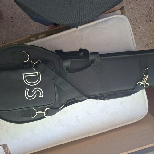 Bouzouki 8-string new with pickup and case by Stamkos