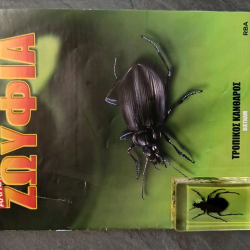 Alithina Zoyfia issue 25 used