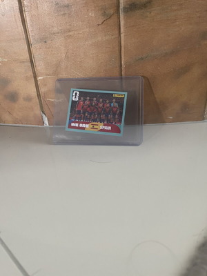 Spain World Cup Winning Team sticker