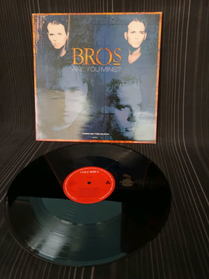Bros Are You Mine? vinyl used, rock