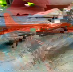 ΣΥΛΛΕΚΤΙΚΌ : 2008 MATCHBOX Named "Sky Drop SB64"