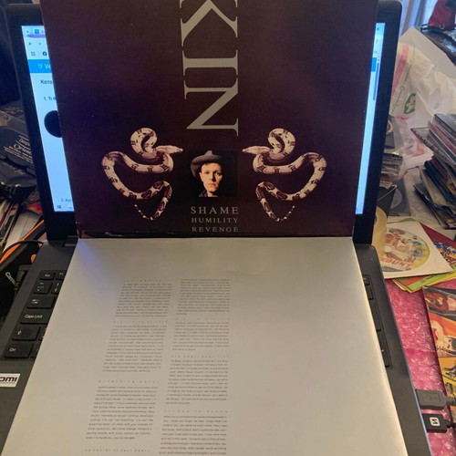 Skin Shame Humility Revenge LP used, electronic