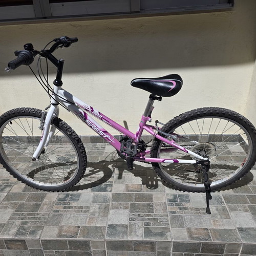 Everest Colibri 24 Inch Mountain Bike 18-Speed used, Shimano