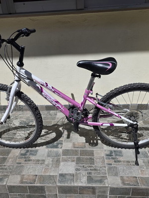 Everest Colibri 24 Inch Mountain Bike 18-Speed used, Shimano