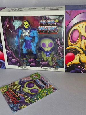 Masters of the Universe Origins Skeletor x VeeFriends Skilled Skeleton 2-Pack