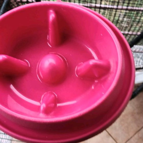 Slow feeder bowl used, medium size, fuchsia