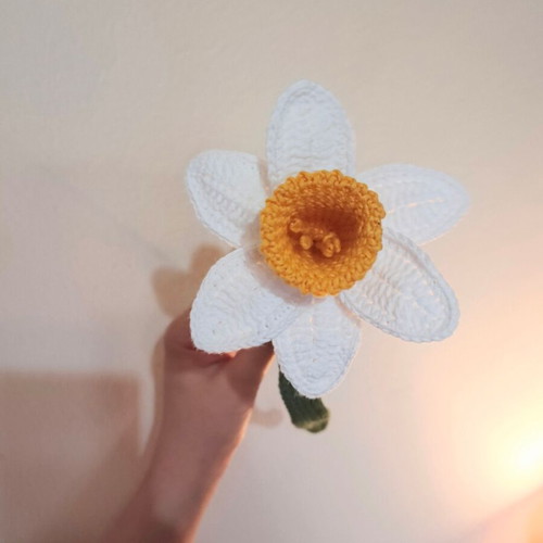 Handmade Narcissus Crochet Flower New, Cotton Yarn