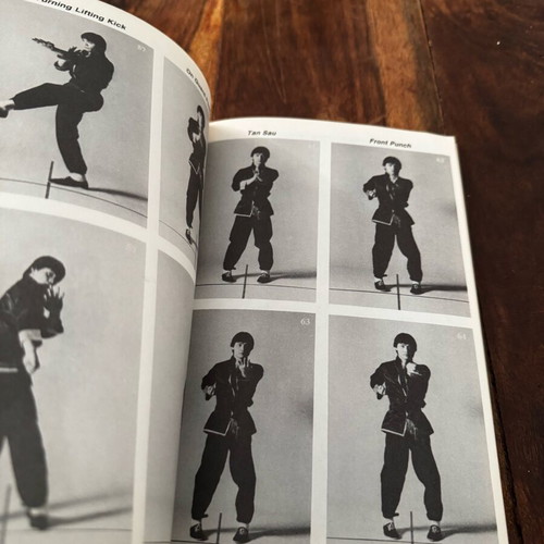 The Breaking Power of Wing Chun book used, rare