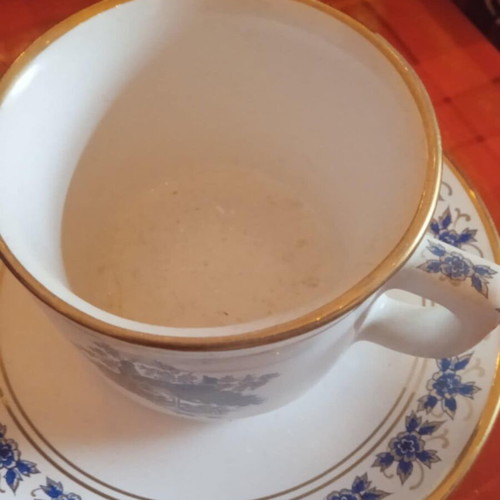 Coffee cup new with bird design