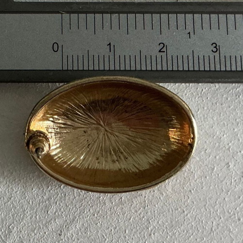 Vintage oval clip-on earrings 80's, like new, gold tone