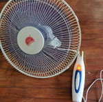 Fan used