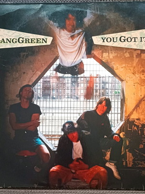Gang Green You Got It vinyl record used, metal