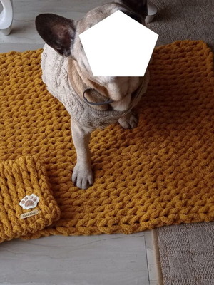 Handmade pet set with Alize Puffy yarn, hypoallergenic, mustard color