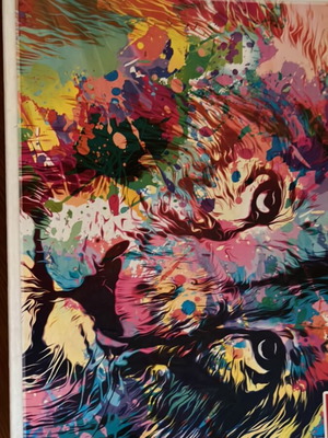 Puzzle 1000 pieces