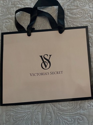 Victoria’s Secret Paper Gift Bag new, soft pink