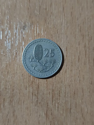 25 Mils Cyprus collectible coin 1973
