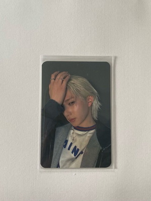 𐙚 Theo P1H Broadcast Photocard new