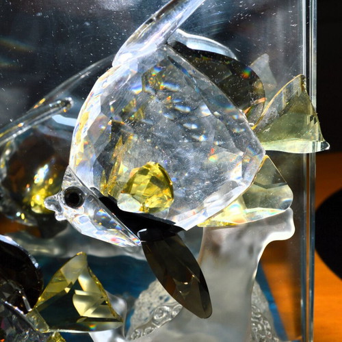 Swarovski Wonders of the Sea Community crystal with three tropical fish