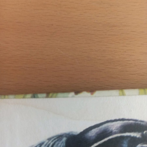 Book Mammals Strange & Exotic like new, 1965 English edition