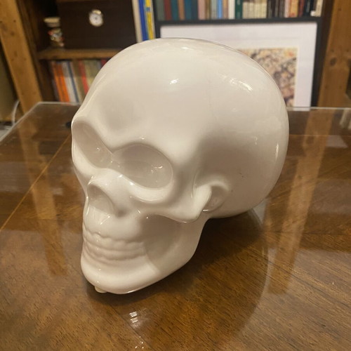 Skull Piggy Bank like new