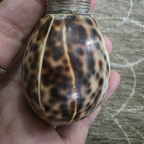 Salt and pepper set made of natural shell like new