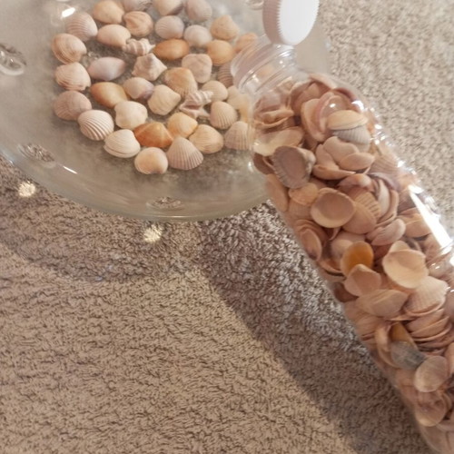 Bottle 0.5L filled with seashells for crafts