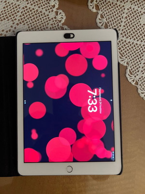 iPad 5th Generation 2017 with Retina display, 32GB, leather case