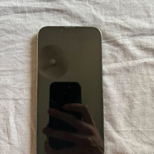 Apple iPhone 13 Pro Max 256GB, green, dual SIM