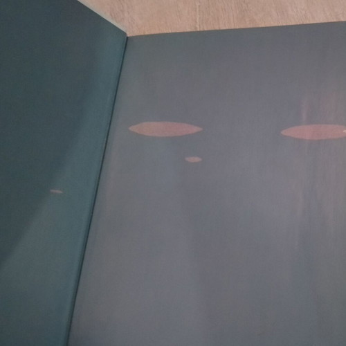 Minus Drei Und Die Laute Lucy used children's book