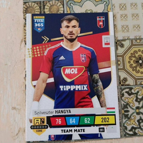 Szilvester Hangya card new
