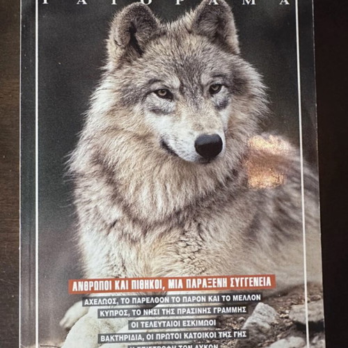 Experiment Gaiorama magazines used, issues 1-5, 1995