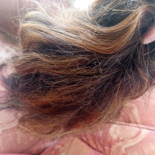 Real Human Hair Wig for Women like new