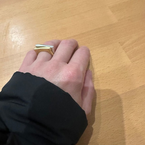Two rings new, silver and gold plated, size 55-56
