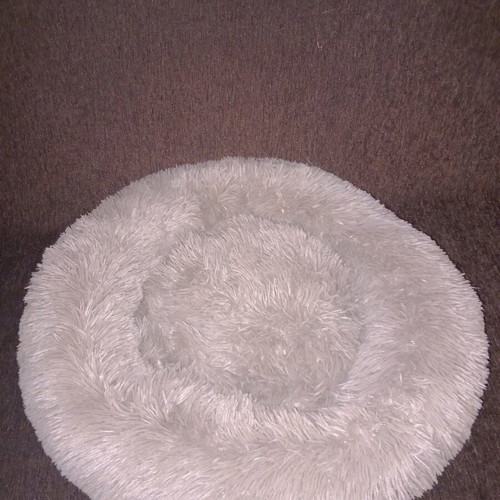 Pet bed xlarge like new