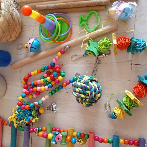 Bird accessories and toys set with transport bag like new