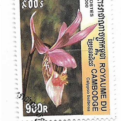 Cambodia 2000 orchids 4 stamps CTO new