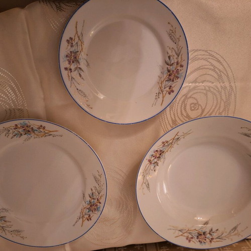 Russian porcelain dinnerware set 1890 vintage like new with hand painting