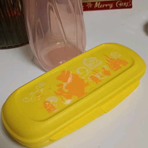Princess container with 500ml bottle Tupperware new