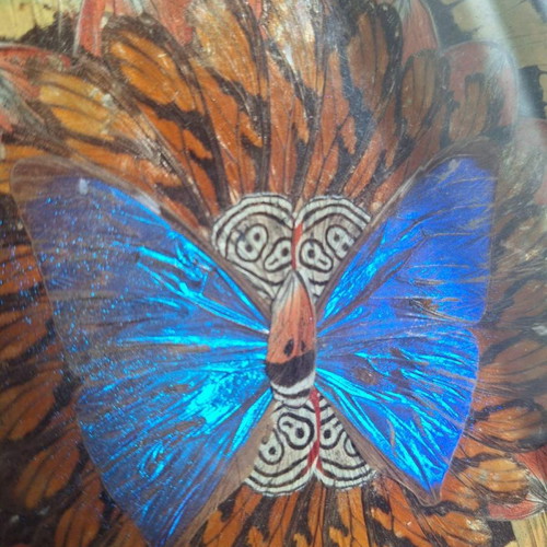 Decorative trays with real butterflies new, 70-year-old heirloom set of 2