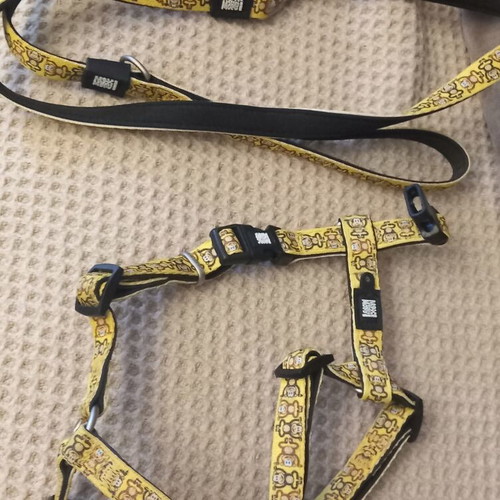 Max and Molly dog harness and leash like new, size M