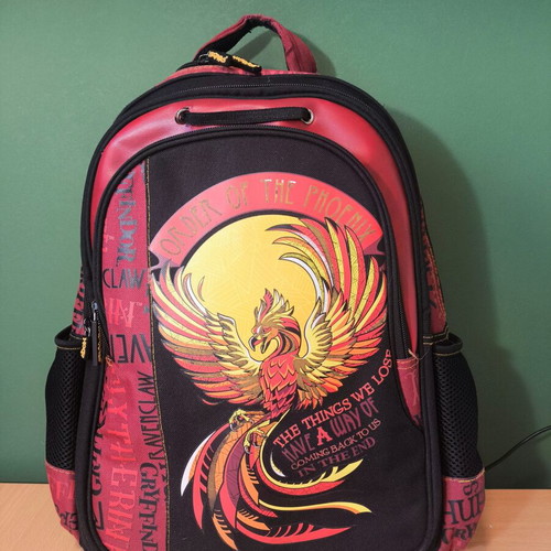 Polo Harry Potter school backpack for elementary