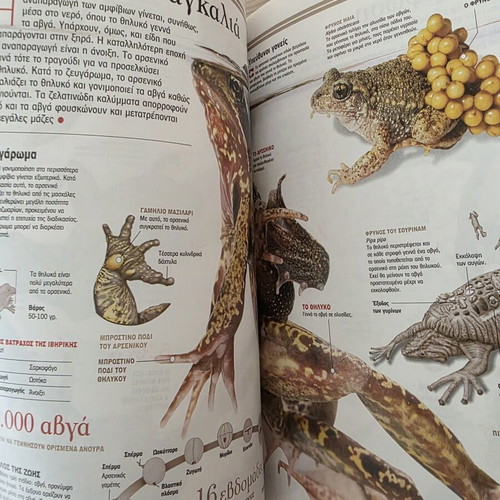 Atlas of Sciences: Fish and Amphibians like new, Greek edition
