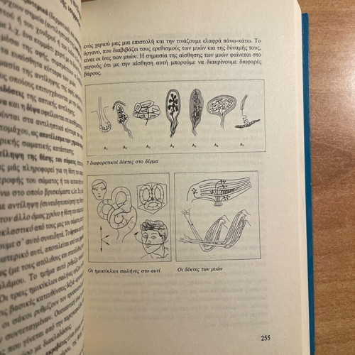 Psychology Modern Experimental Like New