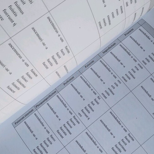 Latin Textbook Grade 11 like new, theoretical direction