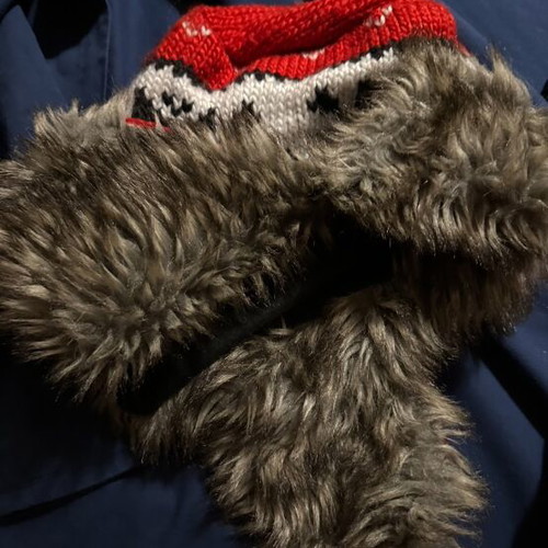 Hat like new with ears and fur inside size M