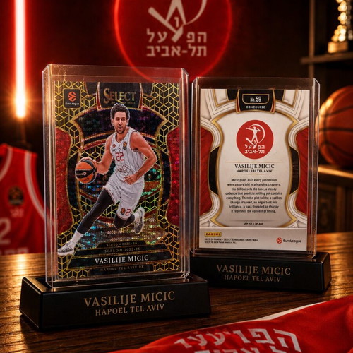 Vasilije Micic Concourse Level /10 basketball card new