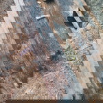  σανίδες καστανιας(4τμχ μαζι)