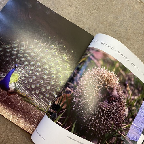Natura Chia book like new by Pantelis D. Saliaris
