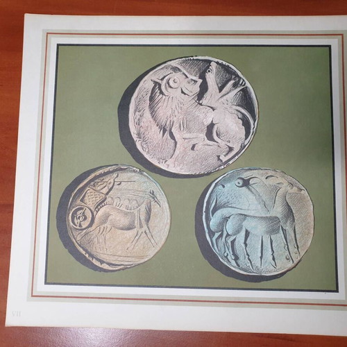 Mycenae album with 12 color plates used, lithographs